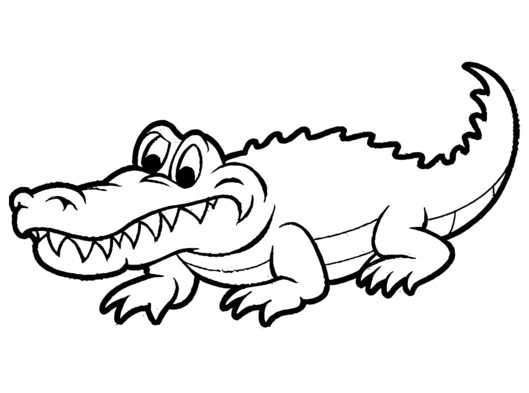 Desenho de Jacaré Curioso para Colorir