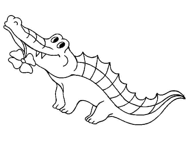 Desenho de Jacaré Feliz para Colorir