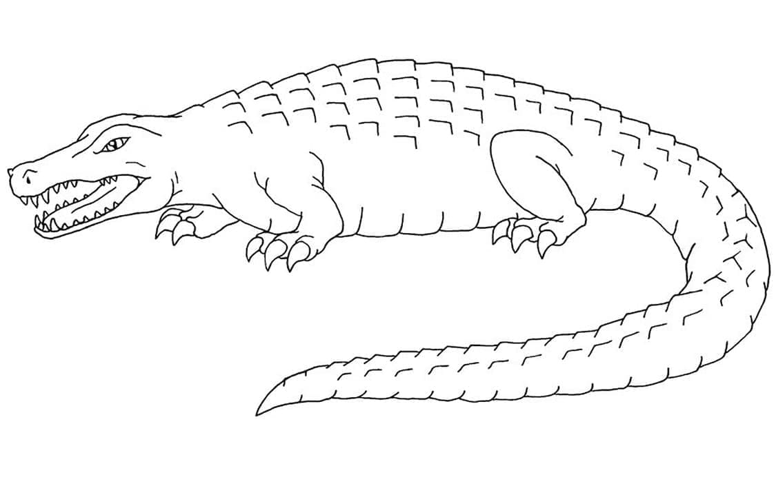 Desenho de Jacaré Grande para Colorir