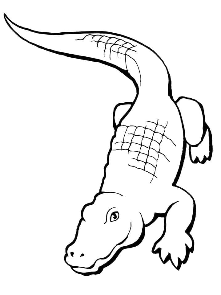 Desenho de Jacaré Grátis para Crianças para Colorir