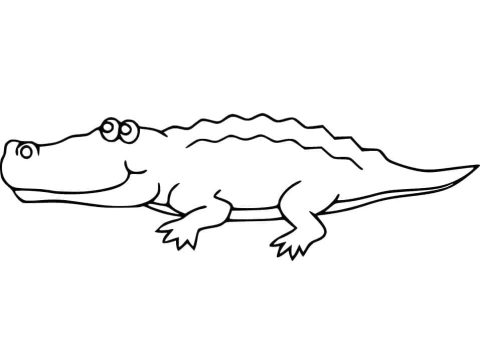 Desenho de jacaré Simples para Colorir