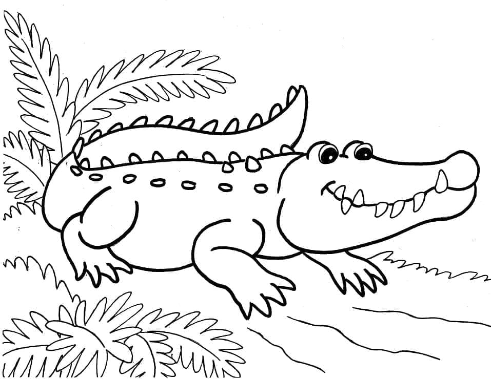 Desenho de Lindo Jacaré para Colorir