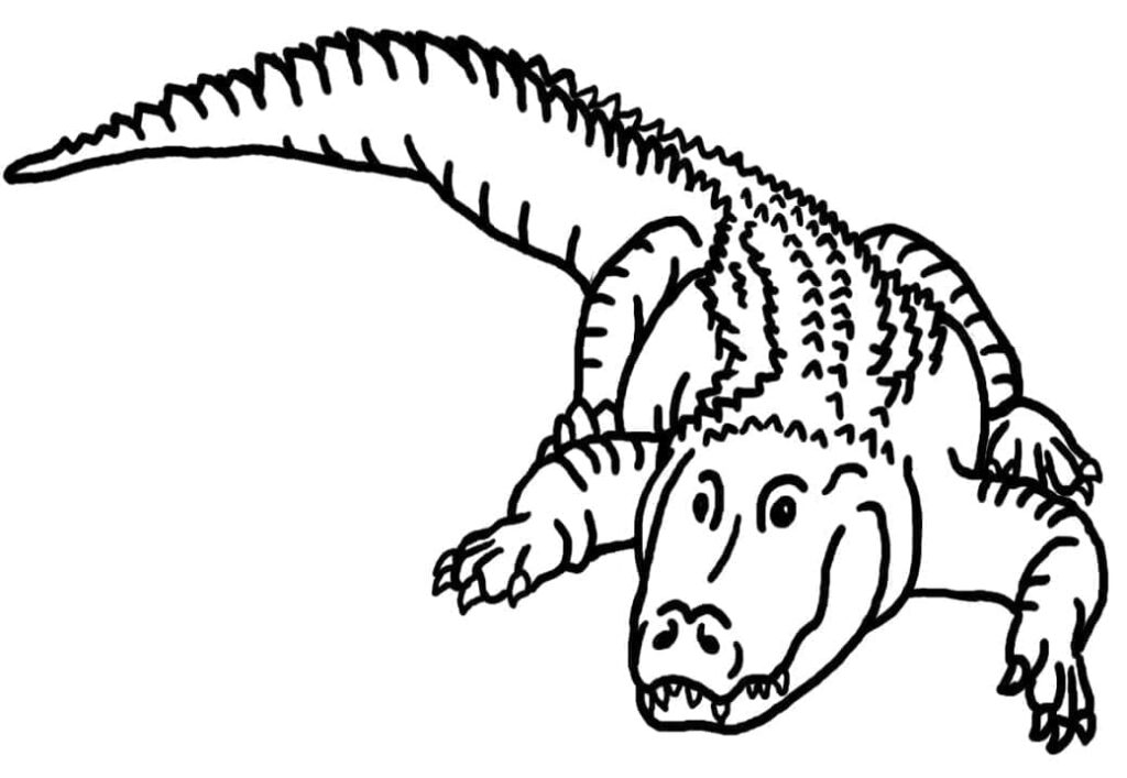 Desenho de um Jacaré para Colorir