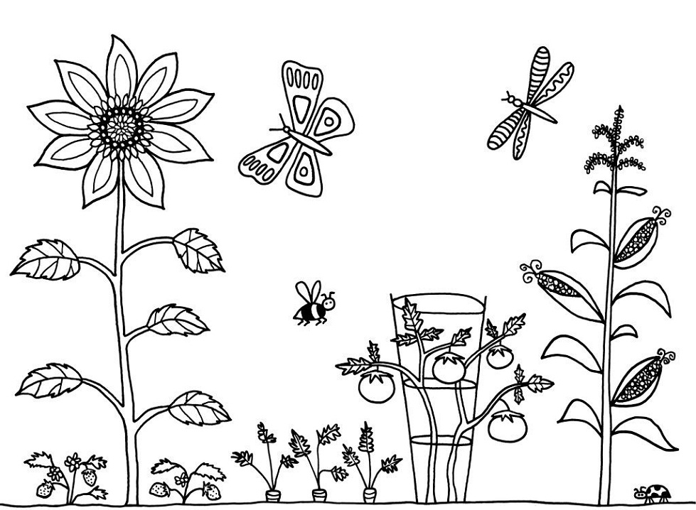 Desenho de Jardim de Flores para Imprimir