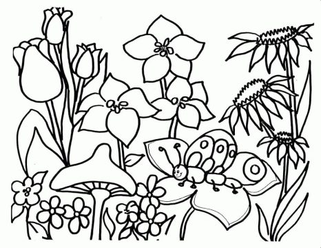 Desenho de Maravilhoso Jardim de Flores para Colorir