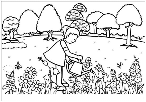 Desenho de Regá para Jardim de Flores para Colorir