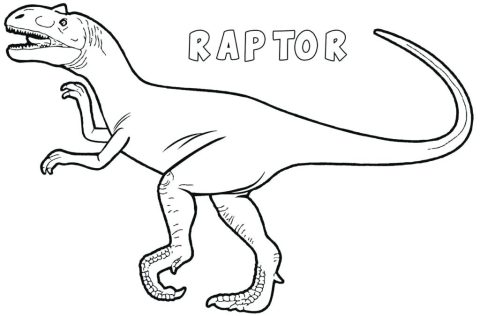 Desenho Pdf Jurassic Park Raptor para Pintar