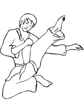 Desenho de O Karate para Colorir