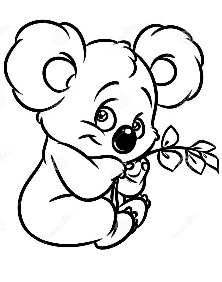 Desenho de Coala Kawaii Segurando Eucalipto para Colorir Pdf