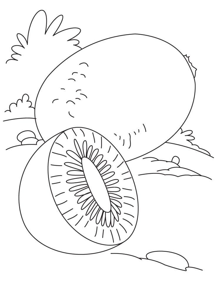 Desenho de Kiwi Grátis para Colorir