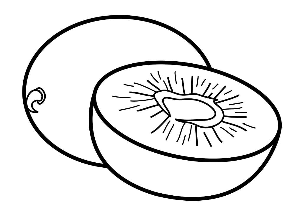 Desenho de Kiwi para Colorir Tinta Guache