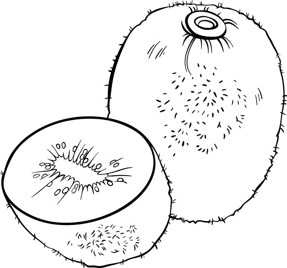 Desenho de Kiwi Pdf Grátis