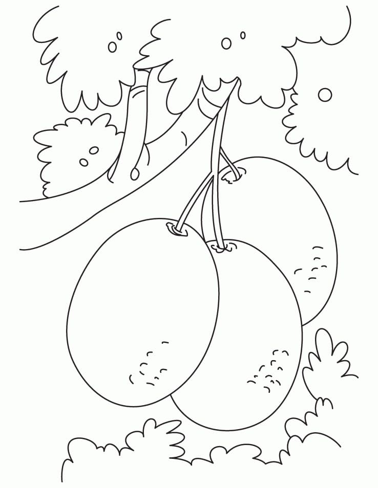 Desenho de Três Kiwis para Colorir