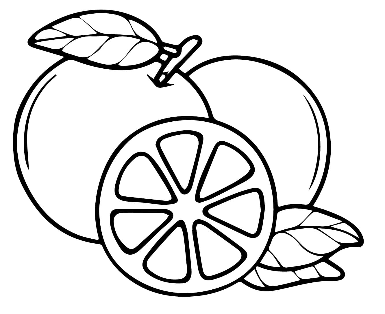 Desenho de Laranja Fresca para Colorir