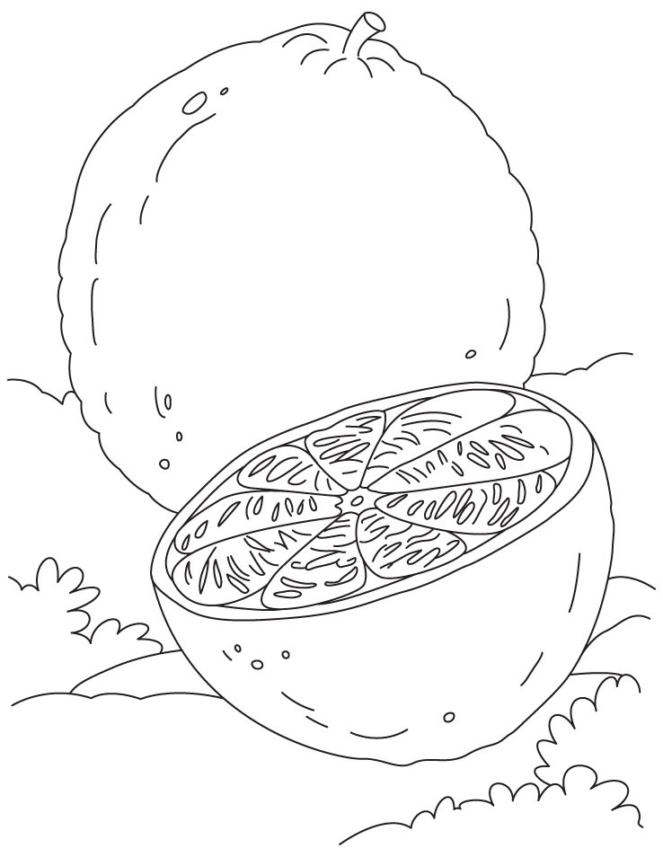 Desenho de Laranja em Fatias para Colorir