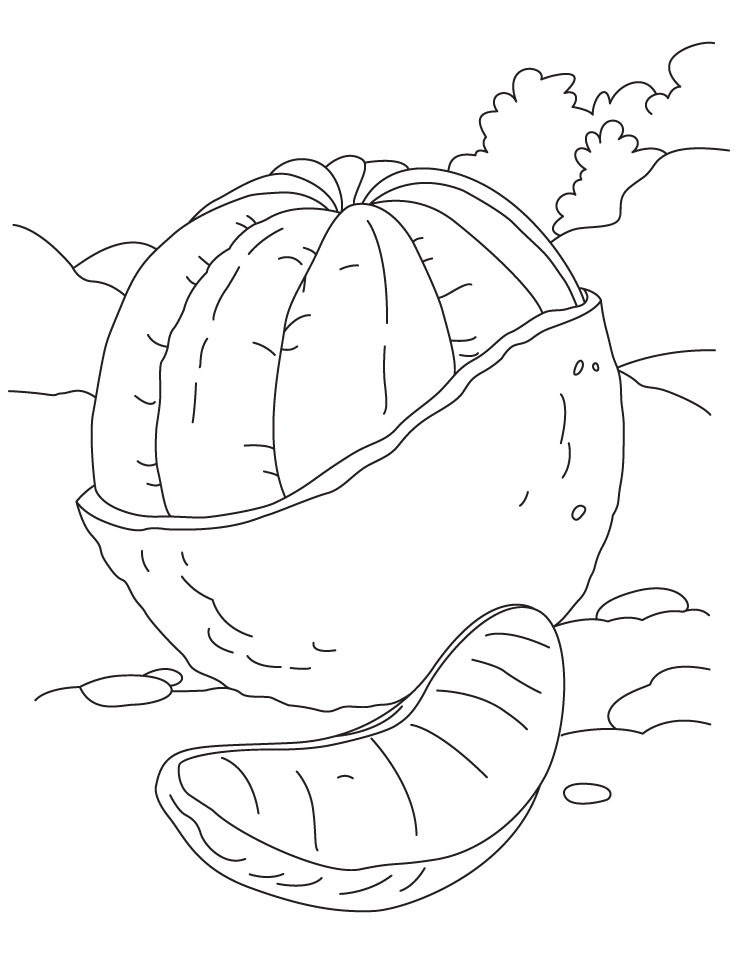 Desenho de Laranja no Pé para Colorir