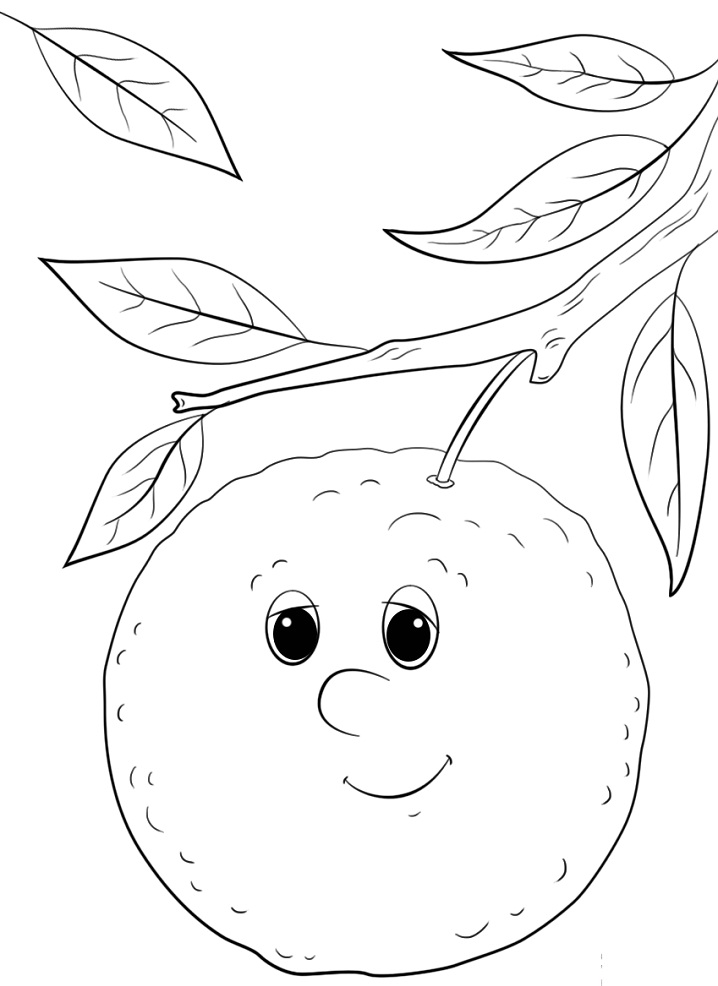 Desenho de Laranja para Colorir Tinta Guache