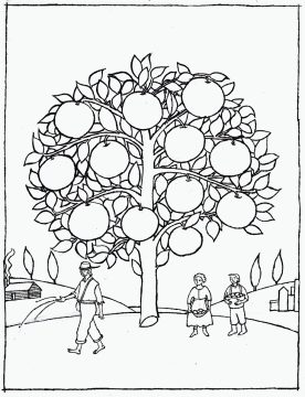 Desenho de Laranja para Pintar lápis de Cor