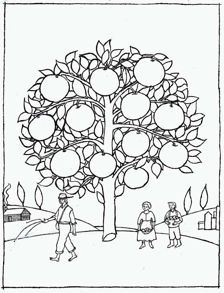 Desenho de Laranja para Pintar Lápis de Cor