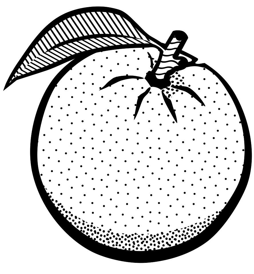 Desenhos de Laranja para Colorir