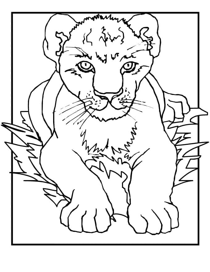 Desenho de Filhote de Leão para Colorir