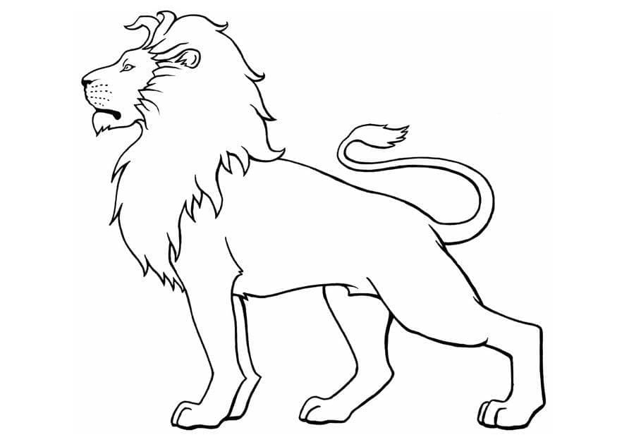 Desenho de Leão Incrível para Colorir