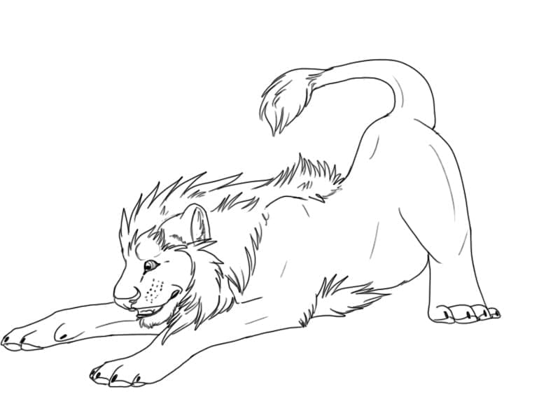 Desenho de Leão em Alongamento para Colorir