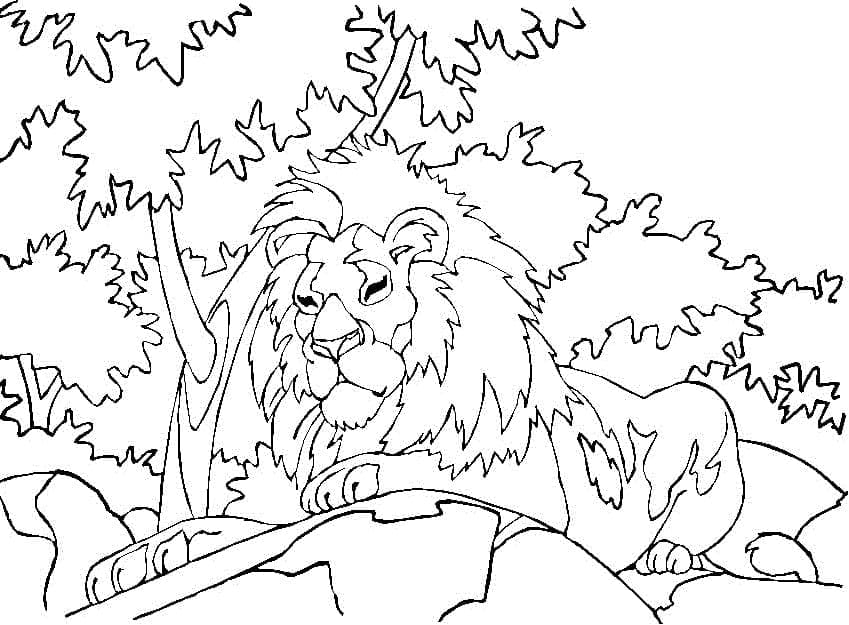 Desenho de Leão na Floresta para Colorir