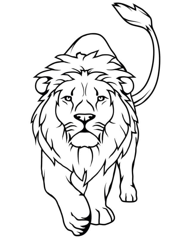 Desenho de o Leão para Colorir