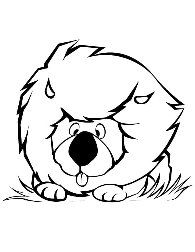 Desenho de Pequeno Leão para Colorir