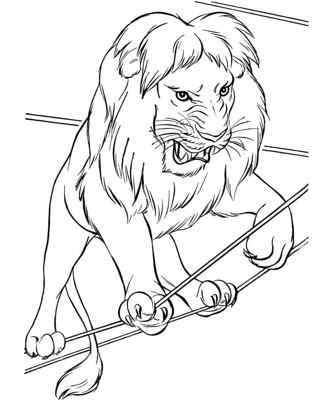 Desenho de um Leão de Circo para Colorir
