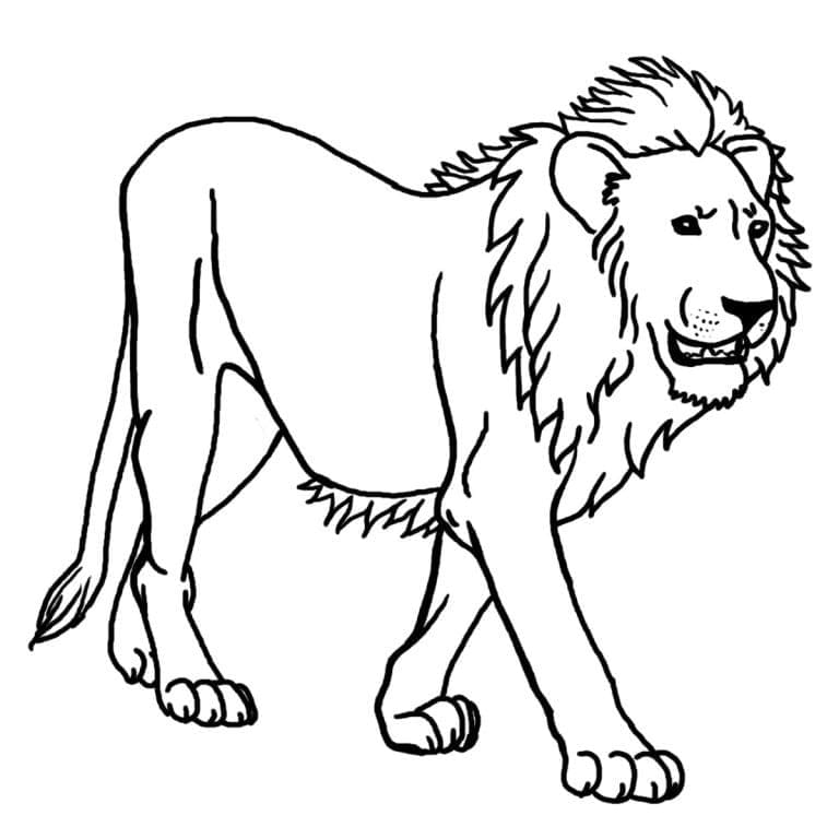Desenho de um Leão para Colorir
