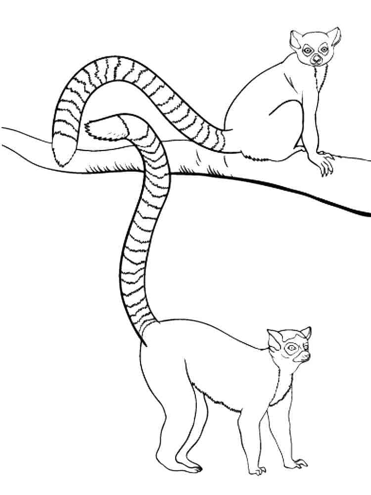 Desenho de Dois Lemures para Colorir