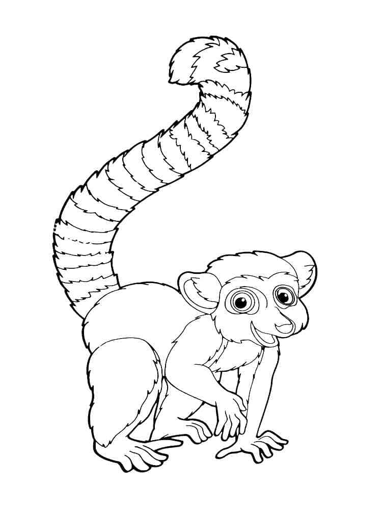 Desenho de Lemure Adorável para Colorir