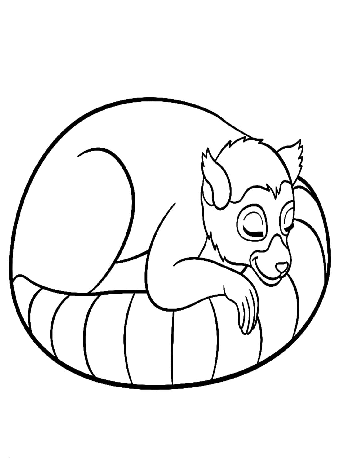 Desenho de Lemure Adormecido para Colorir