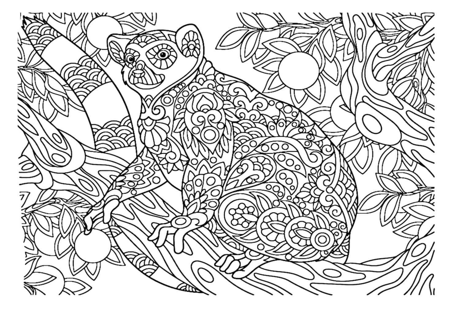 Desenho de Lemure Maravilhoso para Colorir
