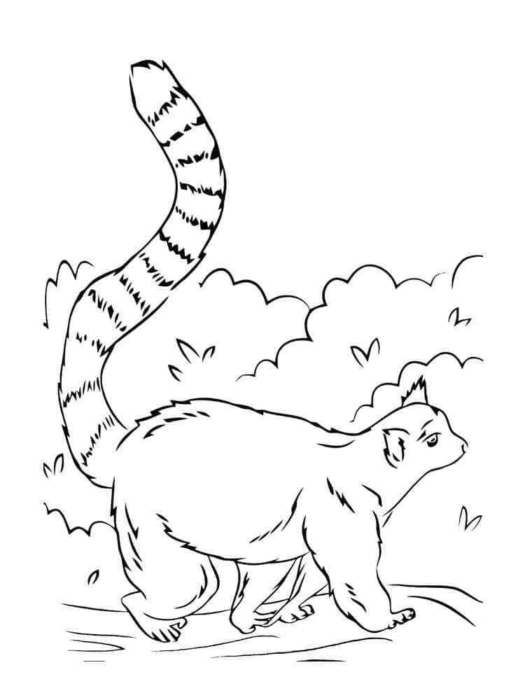 Desenho de Lemure na Floresta para Colorir
