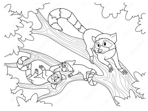 Desenho de Lemures na árvore para Colorir