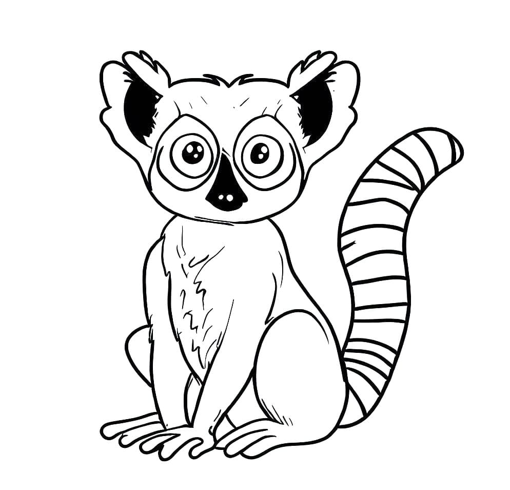 Desenho de Pequeno Lemure para Colorir