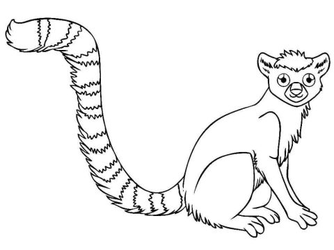 Desenho de Um Lemure para Colorir