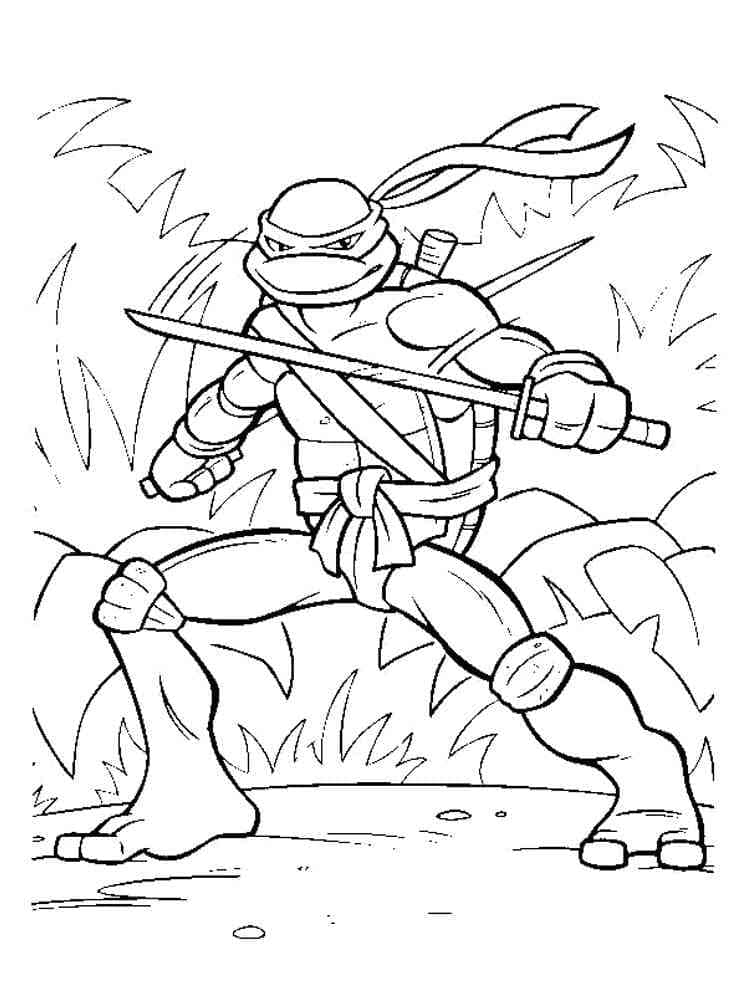 Desenho de Tartarugas Ninja Leonardo Animado para Colorir