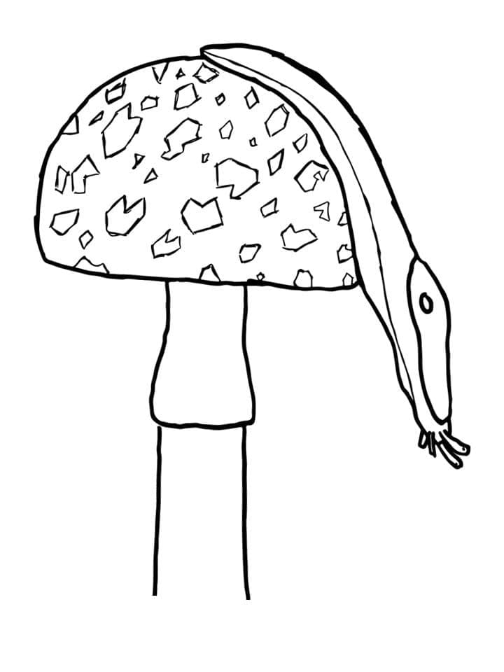 Desenho de Lesma em um Cogumelo para Colorir