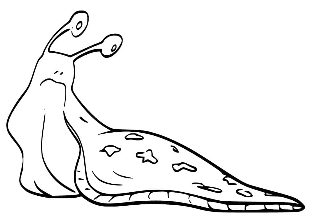 Desenho de Lesma Imprimivel para Baixar e Colorir