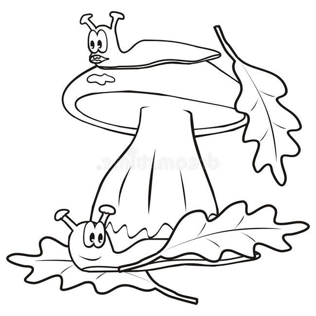 Desenho de Lesmas para Colorir