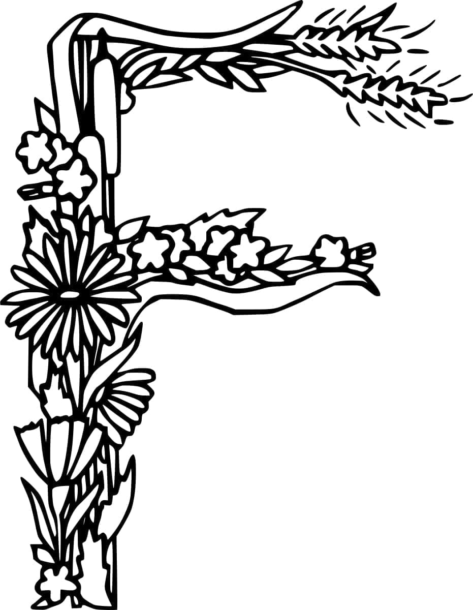 Desenho de Letra F Maravilhosa para Colorir