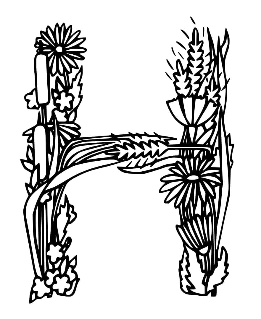 Desenho de Incrível Letra H para Colorir