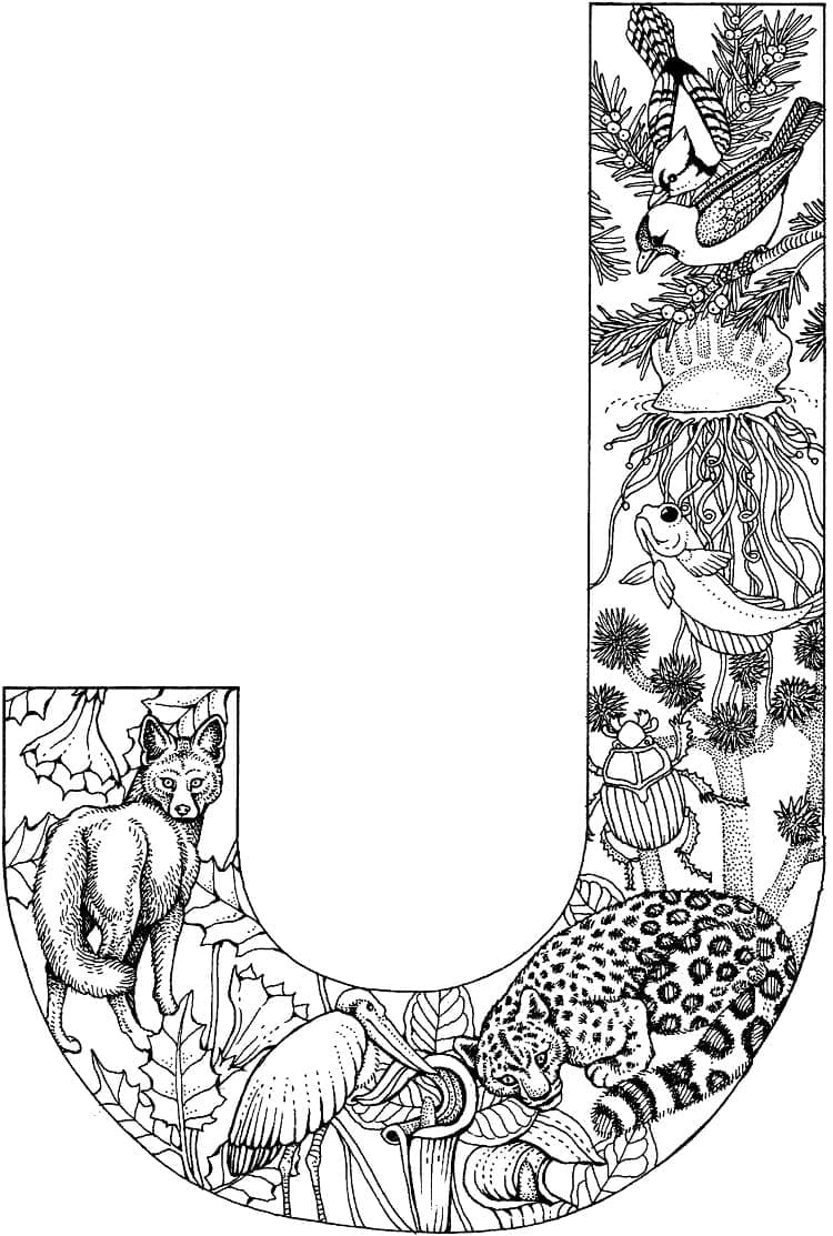 Desenho de Imagem da Letra J para Colorir
