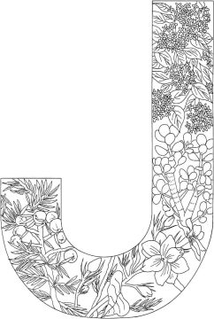 Desenho de Linda Letra J para Colorir