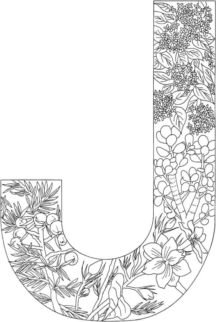Desenho de Linda Letra J para Colorir
