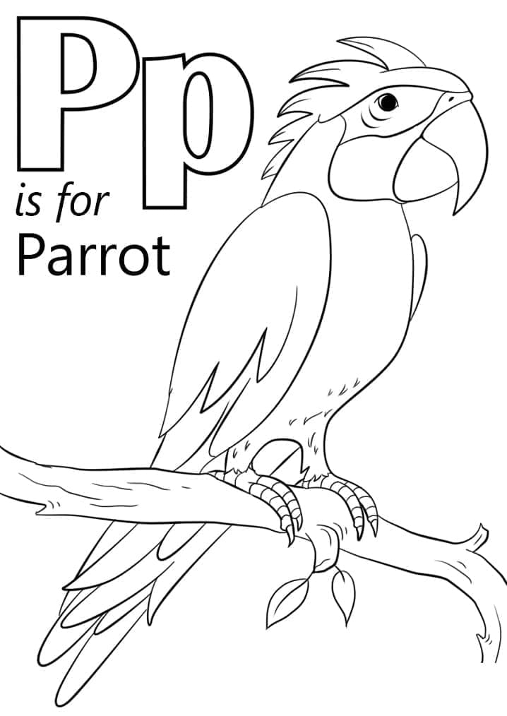 Desenho de Letra P e para Papagaio para Colorir